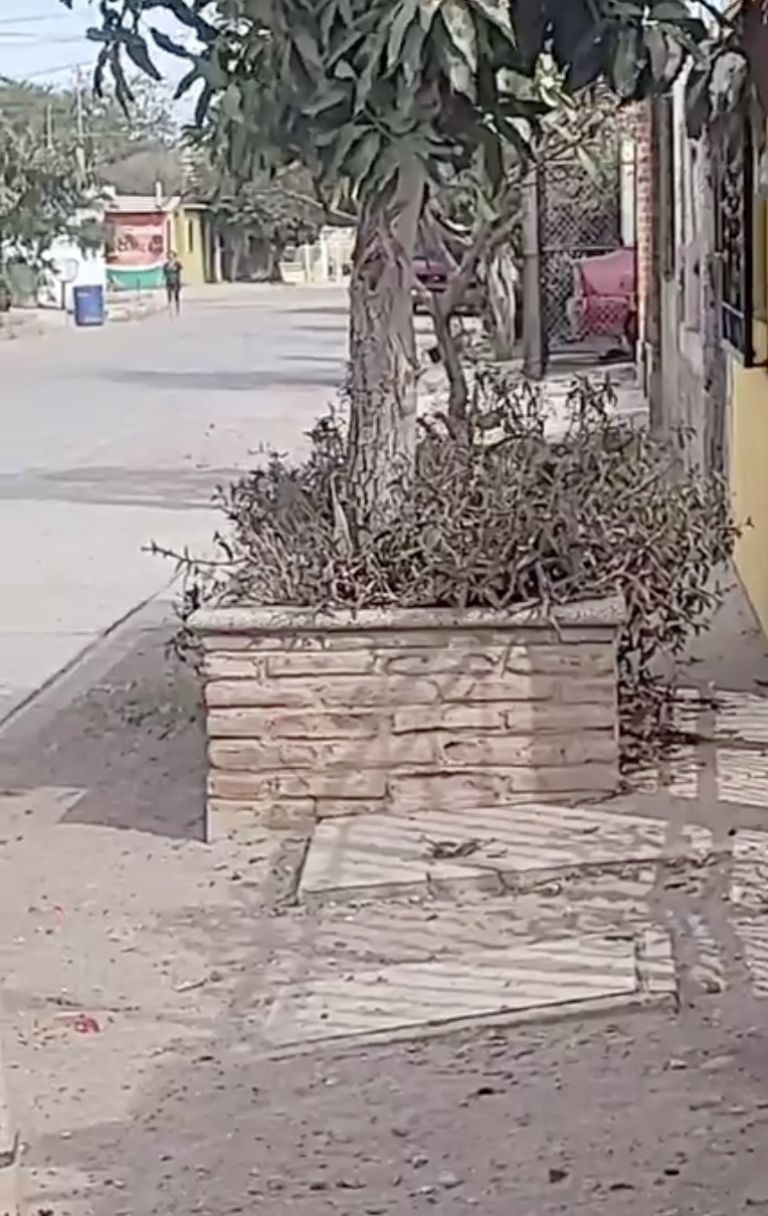Localizan equipo táctico en una jardinera de Ciudad Obregón. Foto: Facebook