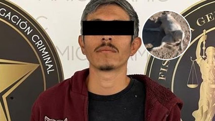 FUERTE VIDEO: AMIC detiene a sujeto que arrastró a perrita callejera en San Pedro El Saucito