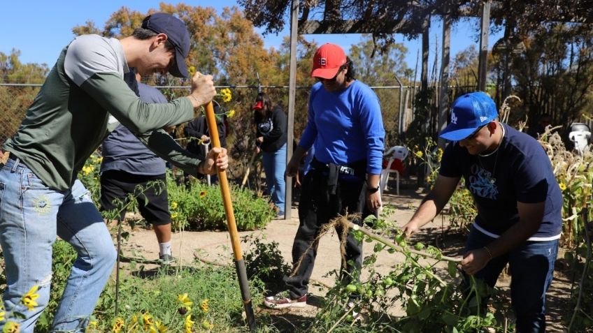 Huertos escolares implementan estudiantes de Cobach Empalme