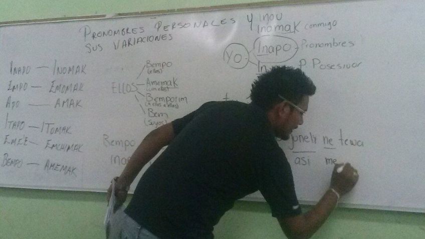 Buscan que enseñanza de la lengua materna mayo sea oficial en todas las escuelas