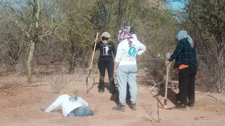 Sube cifra a 40 osamentas y siete cuerpos hallados en panteón clandestino de Hermosillo