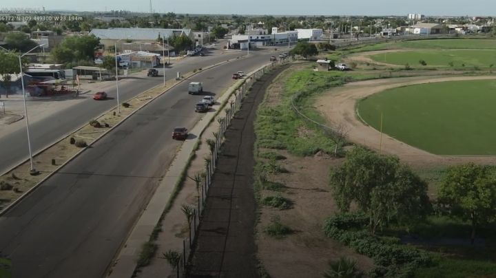 ‘Acción Verde’ busca crear  el primer bosque urbano en Navojoa
