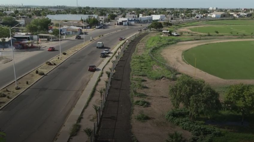 ‘Acción Verde’ busca crear  el primer bosque urbano en Navojoa