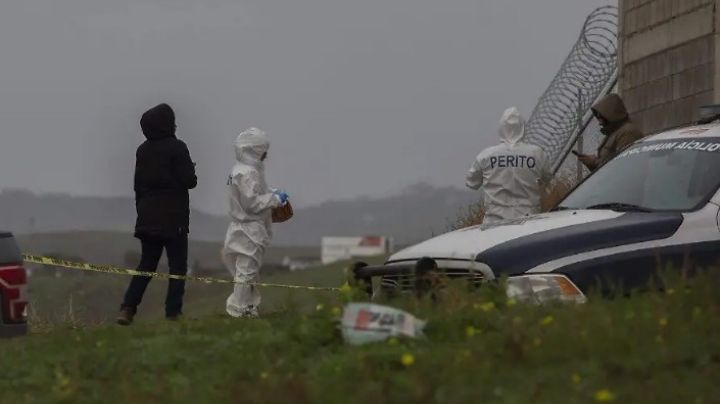 Macabro hallazgo: Localizan cuerpo con el tiro de gracia Coyotepec; autoridades investigan