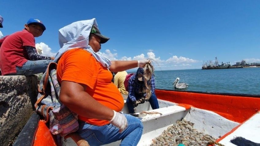 Pescadores del sur de Sonora, entre el peligro y baja producción