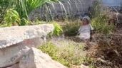 Foto ilustrativa de la nota titulada Anciana es abandonada por sus hijos en un terreno baldío en Tekax, Yucatán