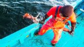 Foto ilustrativa de la nota titulada: Captura de calamar genera cerca de 5 mil empleos en el sector pesquero de Sonora