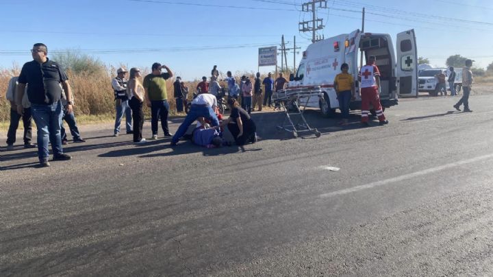 70% de los conductores en Navojoa no cuenta con seguro vehicular contra daños a terceros