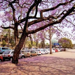 Conagua: Así será el clima en México este viernes 21 de marzo, Día de la Primavera