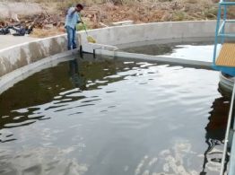 Ciudad Obregón: Especialistas alertan sobre el uso del agua en foro de Itson