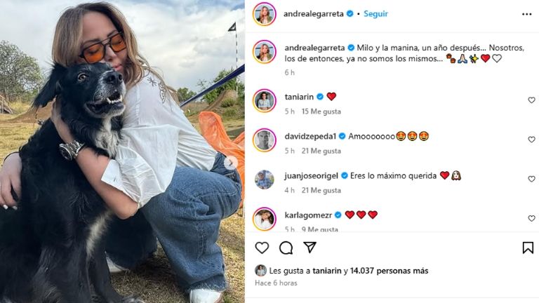 Andrea Legarreta conmemoró el aniversario luctuoso de su sobrino