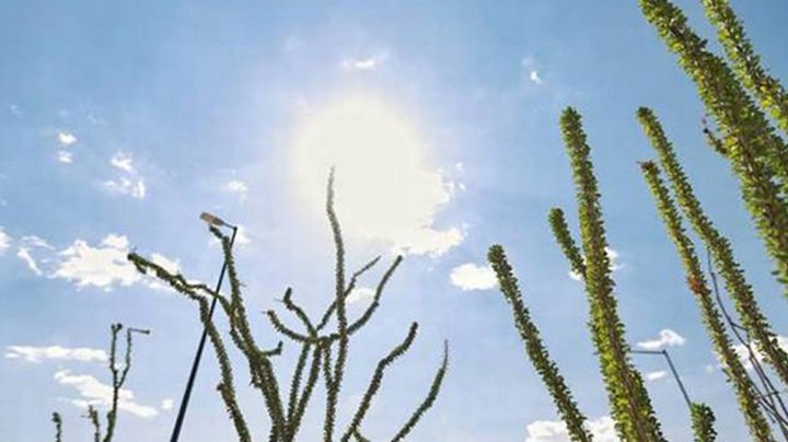 Clima en Sonora: CONAGUA advierte sobre altas temperaturas para este 24 de marzo del 2025