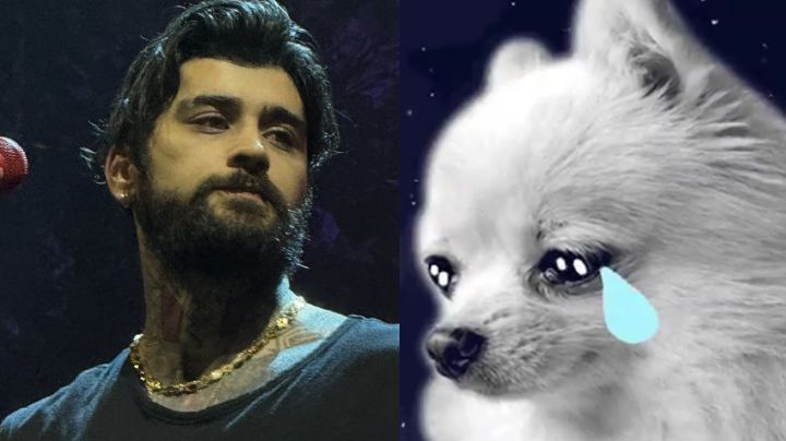 Zayn Malik cancela su tercer show en CDMX y se desatan los memes; asegura estar "muy mal"