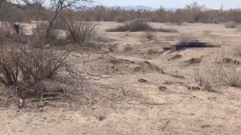 Encuentran cuerpos en estado de descomposición en Caborca
