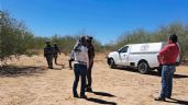 Foto ilustrativa de la nota titulada Buscadoras localizan dos cadáveres en fosa clandestina de Valle de Empalme