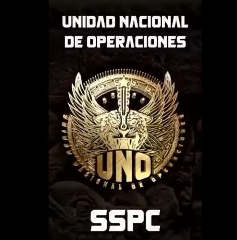 Nuevo grupo para combatir crimen organizado llamado Unidad Nacional de Operaciones (UNO)