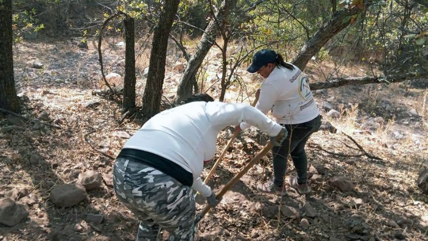 Descubren cuatro cuerpos al sur de Nogales; estaban sepultados en fosas clandestinas