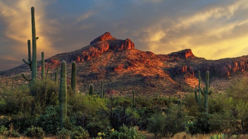 Clima en Sonora 4 de marzo: ¿Lloverá hoy? Conagua advierte cielo nublado y mínimas de -5°C
