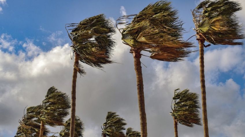 Clima en México 4 de marzo: ¿Lloverá hoy? Frente Frío provocará fuertes vientos; Conagua
