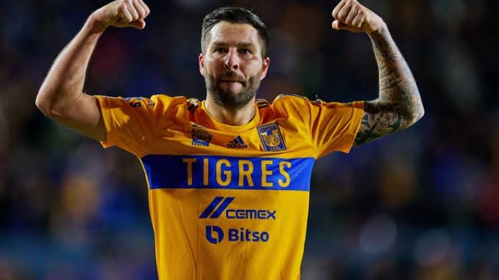 Tigres vs Querétaro EN VIVO: Horario y donde ver la Jornada 11 de la Liga MX
