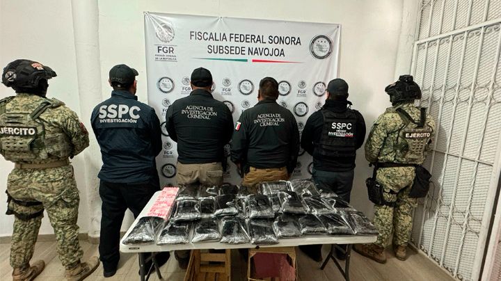 Sonora: Detienen a hombre con 32 kilos de fentanilo ocultos en un cargamento de nopales