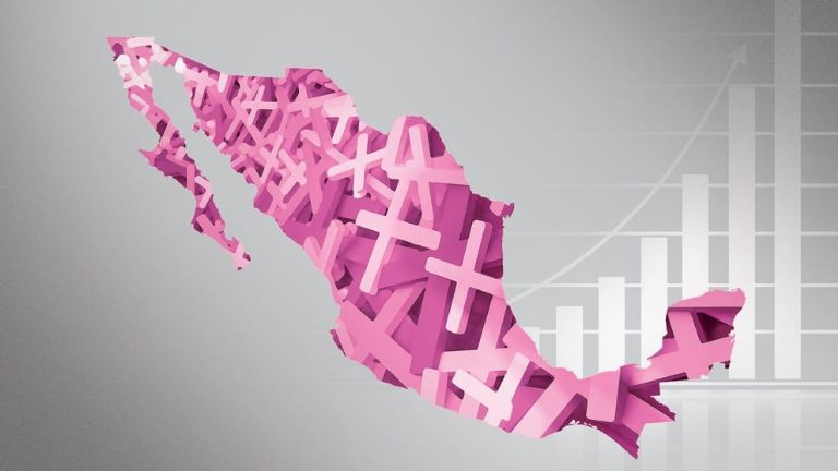 Estado de México, el más peligroso para las mujeres en 2025: INEGI