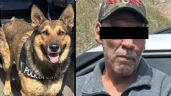 Foto ilustrativa de la nota titulada Hermosillo: Binomio canino detecta a sujeto con narcóticos en colonia Luis Echeverría
