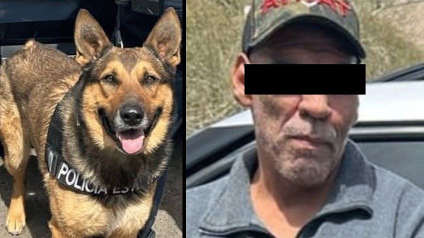 Hermosillo: Binomio canino detecta a sujeto con narcóticos en colonia Luis Echeverría