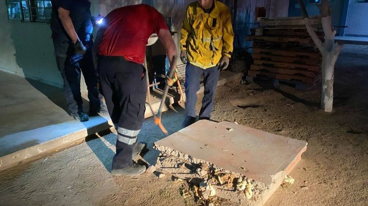 Bomberos retiran panel de abejas del Cobach Empalme, tras ataque a menores de edad