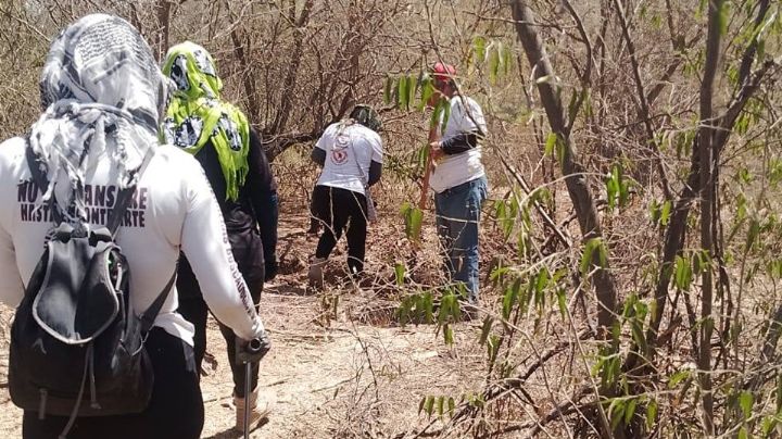Código Rojo en Ciudad Obregón: Hallan fosa clandestina con restos humanos en Puente de Picos