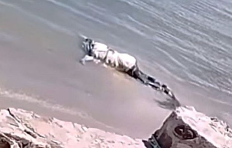 Hallan cuerpo sin vida en Caborca, Sonora. Foto: Facebook