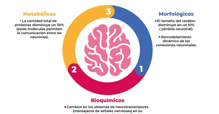 Actividades para mejorar la concentración y la memoria