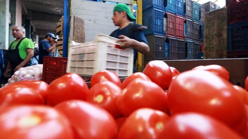 Golpe a la agricultura: Estados Unidos impondrá arancel de casi 21% al tomate mexicano