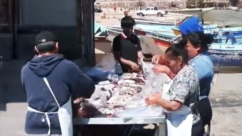 Calamar da respiro a ribereños de Guaymas y Empalme; mejoran ingresos hasta en 60%