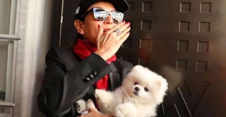 Yolanda Andrade viste de luto a Televisa por terrible muerte