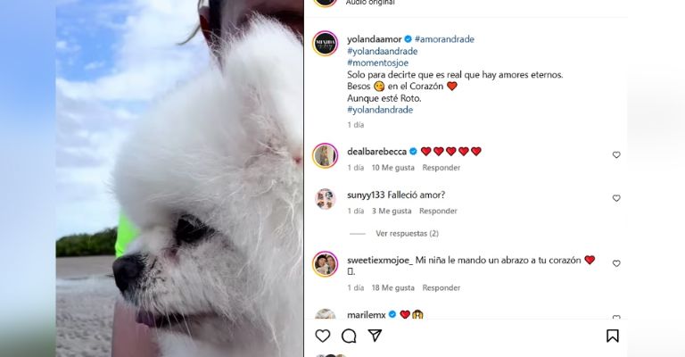 Yolanda Andrade viste de luto a Televisa por terrible muerte