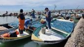Foto ilustrativa de la nota titulada Pesca de aguamala no resulta redituable en Guaymas y Empalme; optan por el calamar