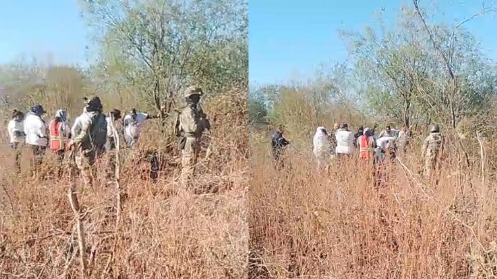 Guerreras Buscadoras hallan cuatro cuerpos en Puente de Picos, al norte de Ciudad Obregón