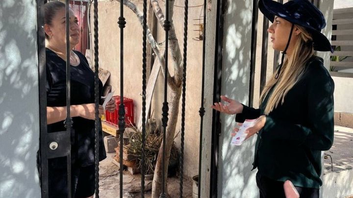 Acciones preventivas contra el dengue y rickettsia se intensifican en colonias