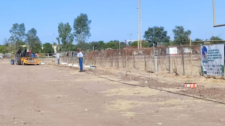 Unidad Deportiva en Navojoa contará con riego por goteo