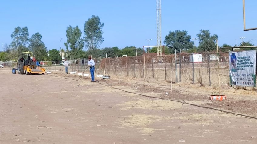 Unidad Deportiva en Navojoa contará con riego por goteo