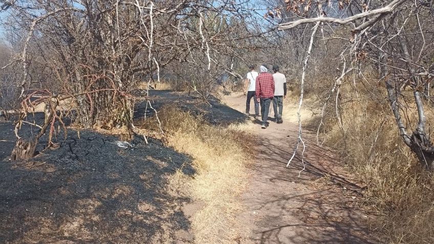 Navojoa registra cinco incendios forestales en lo que va del año