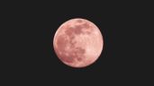 Foto ilustrativa de la nota titulada Luna Rosa de abril 2025: Fecha, horario y cómo ver este fenómeno astronómico en México