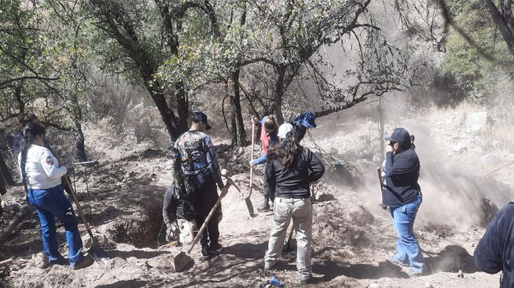 Colectivo de búsqueda encuentra tres osamentas en dos fosas clandestinas al sur de Nogales