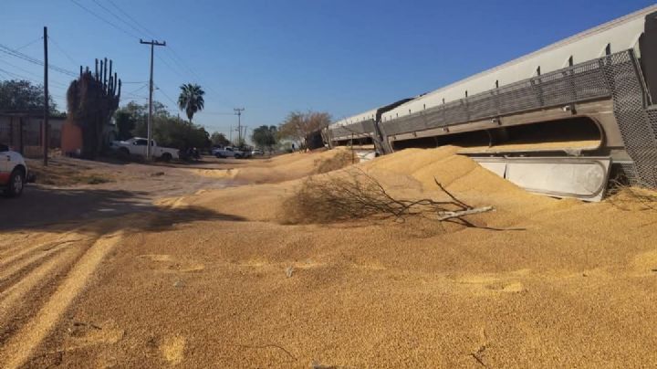 Familias viven bajo riesgo por su cercanía con las vías del tren en Navojoa