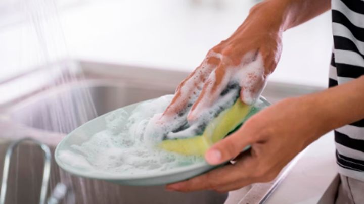 Profeco revela los 12 jabones para trastes que sí eliminan la grasa eficazmente