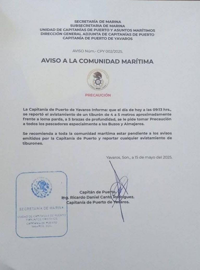 Este jueves se reportó el avistamiento de un tiburón de cinco metros
