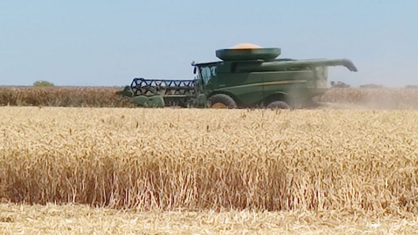 Positivas gestiones del gobernador Alfonso Durazo para fijar precio de referencia: DRRY