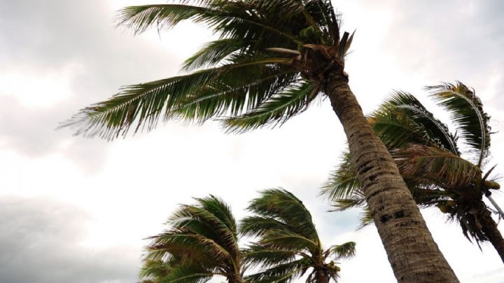 Clima en Sonora fin de semana del 17 al 19 de mayo: Conagua advierte vientos y nuevo Frente Frío