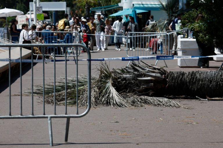 Accidente en Cannes deja una víctima grave. Foto: Internet